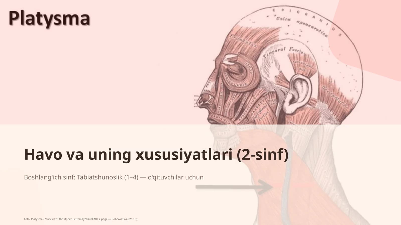 Havo va uning xususiyatlari (2-sinf)