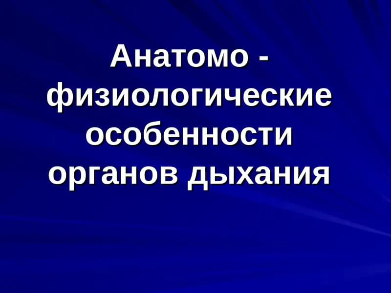 Развитие дыхательной системы внутриутробно