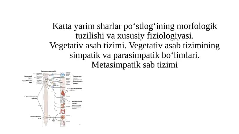 Avtonom nerv tizimi