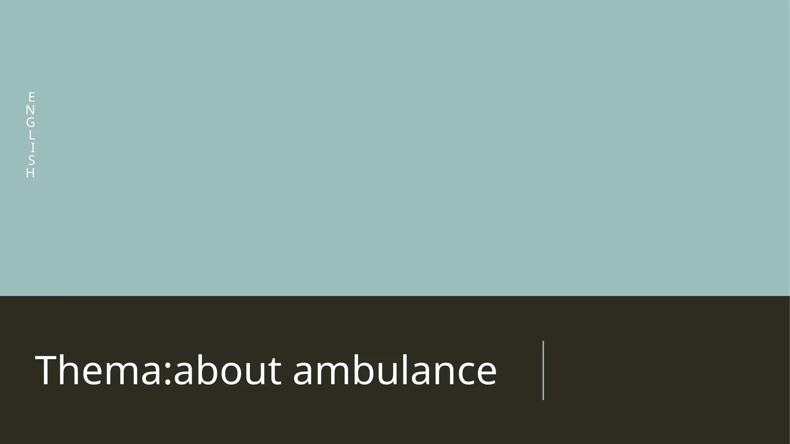 The Role of Ambulances