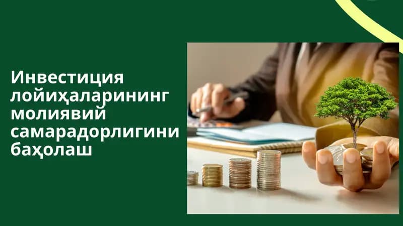 Инвестиция лойиҳаларининг молиявий самарадорлигини баҳолаш