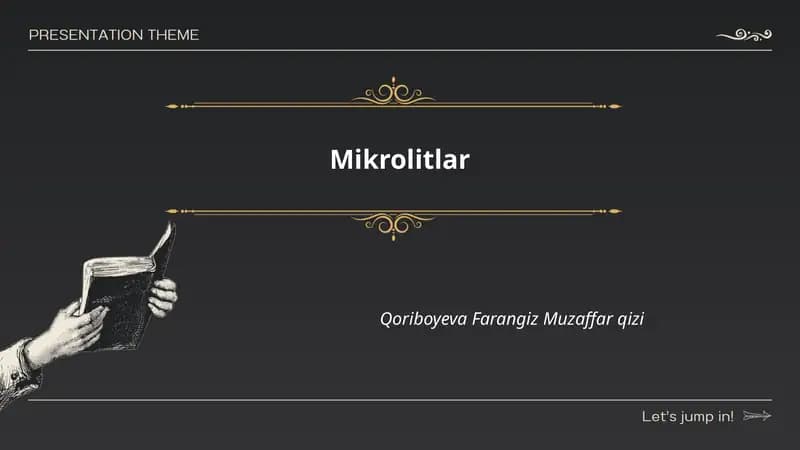 Mikrolitlar