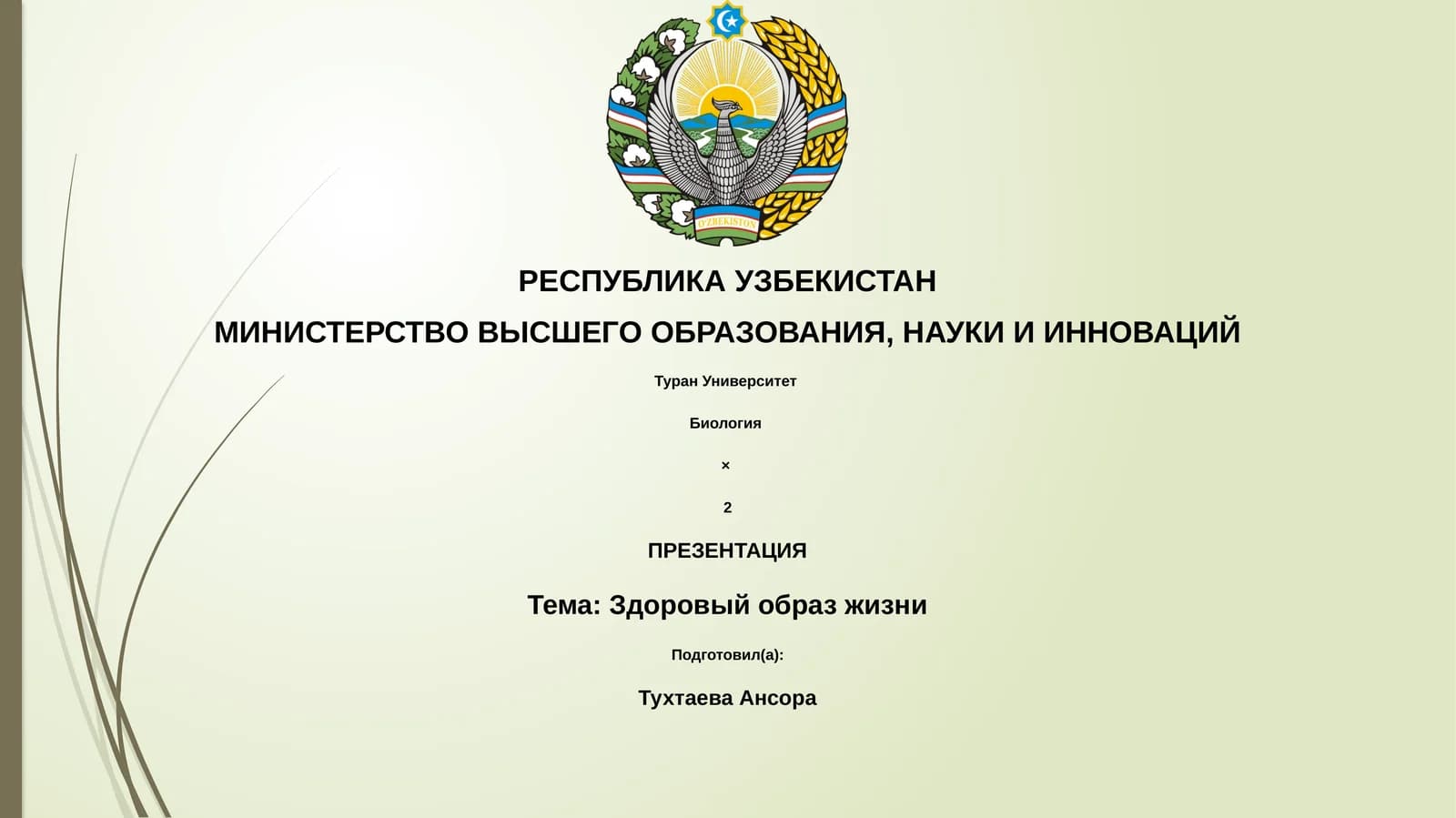 Здоровый образ жизни