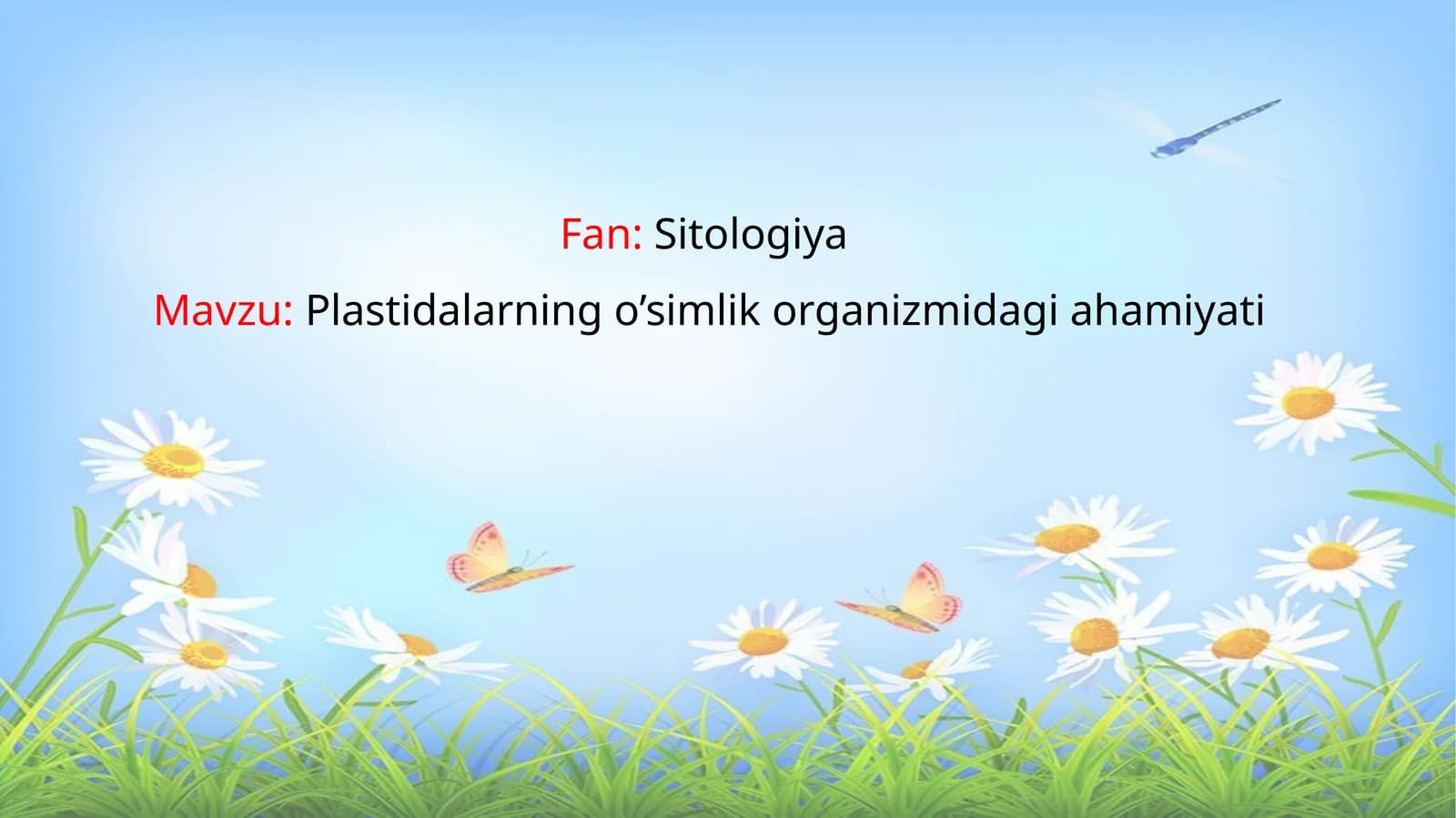 Plastidalarning o’simlik organizmidagi ahamiyati