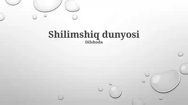 Shilimshiq dunyosi
