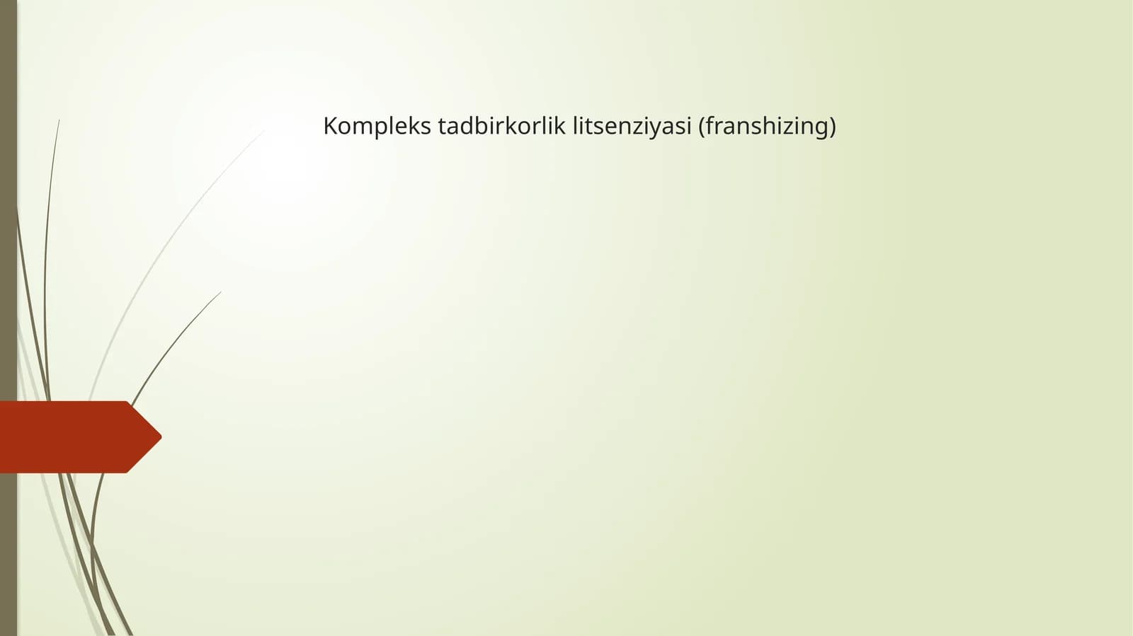 Komplekstadbirkorliklitsenziyasi(franshizing)