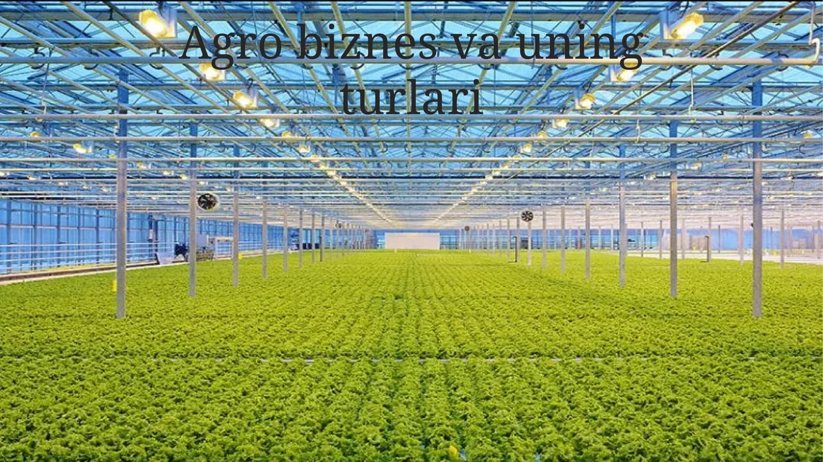 Agro biznes va uning turlari