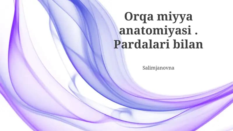 Orqa Miya Pardalarining Funksiyalari