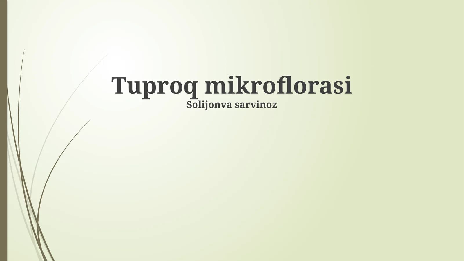 Tuproq mikroflorasi