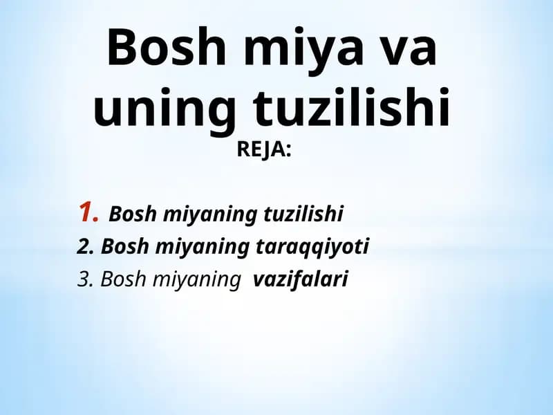 Boshmiyaning tuzilishi
