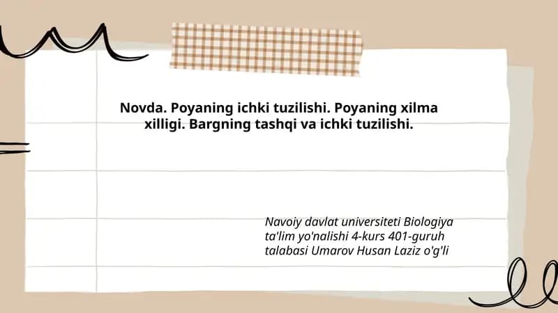Novda