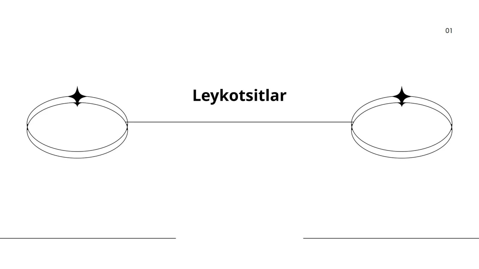 Leykotsitlar