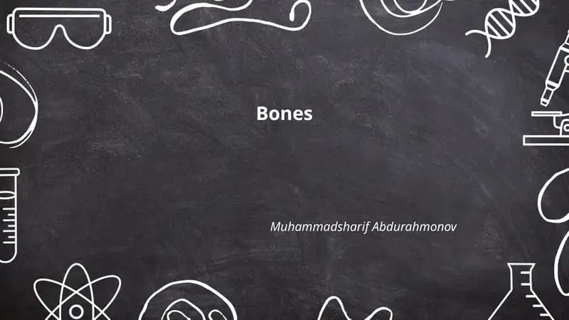 Bones