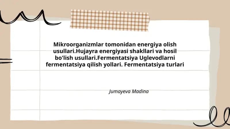 Fermentatsiya