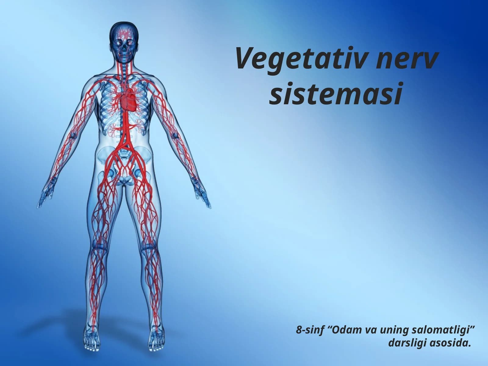Vegetativ nerv sistemasi