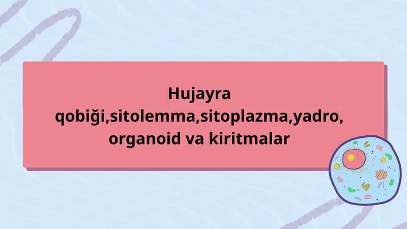 Hujayra qobiği