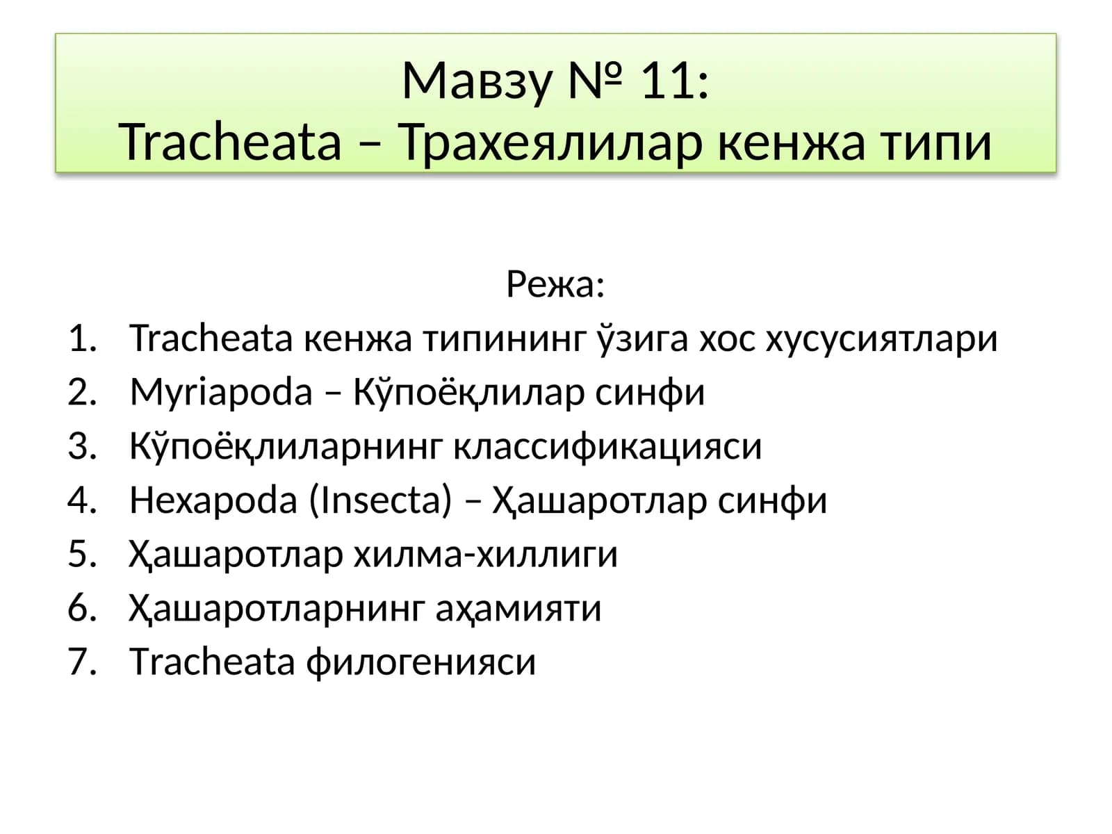 Tracheata – Трахеялилар кенжа типи
