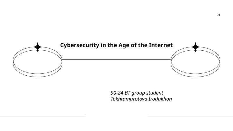 Cybersecurity in the Age of the Internet