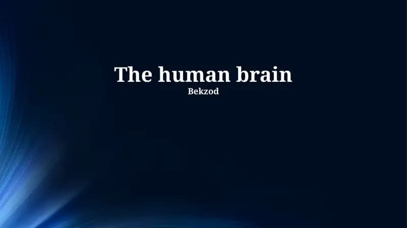The Amazing Capabilities of the Brain