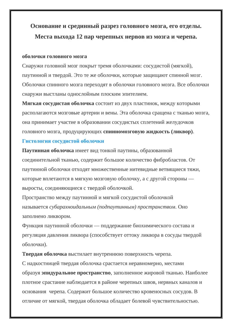 Оболочки головного мозга