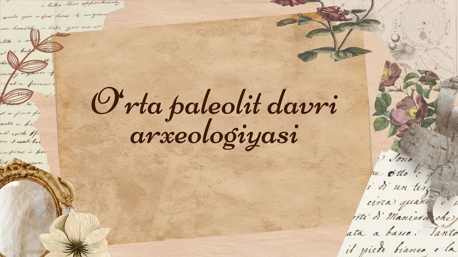 O‘rta paleolit davri arxeologiyasi