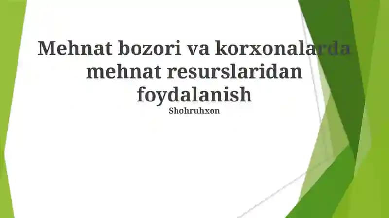 Mehnat bozori va korxonalarda mehnat resurslaridan foydalanish