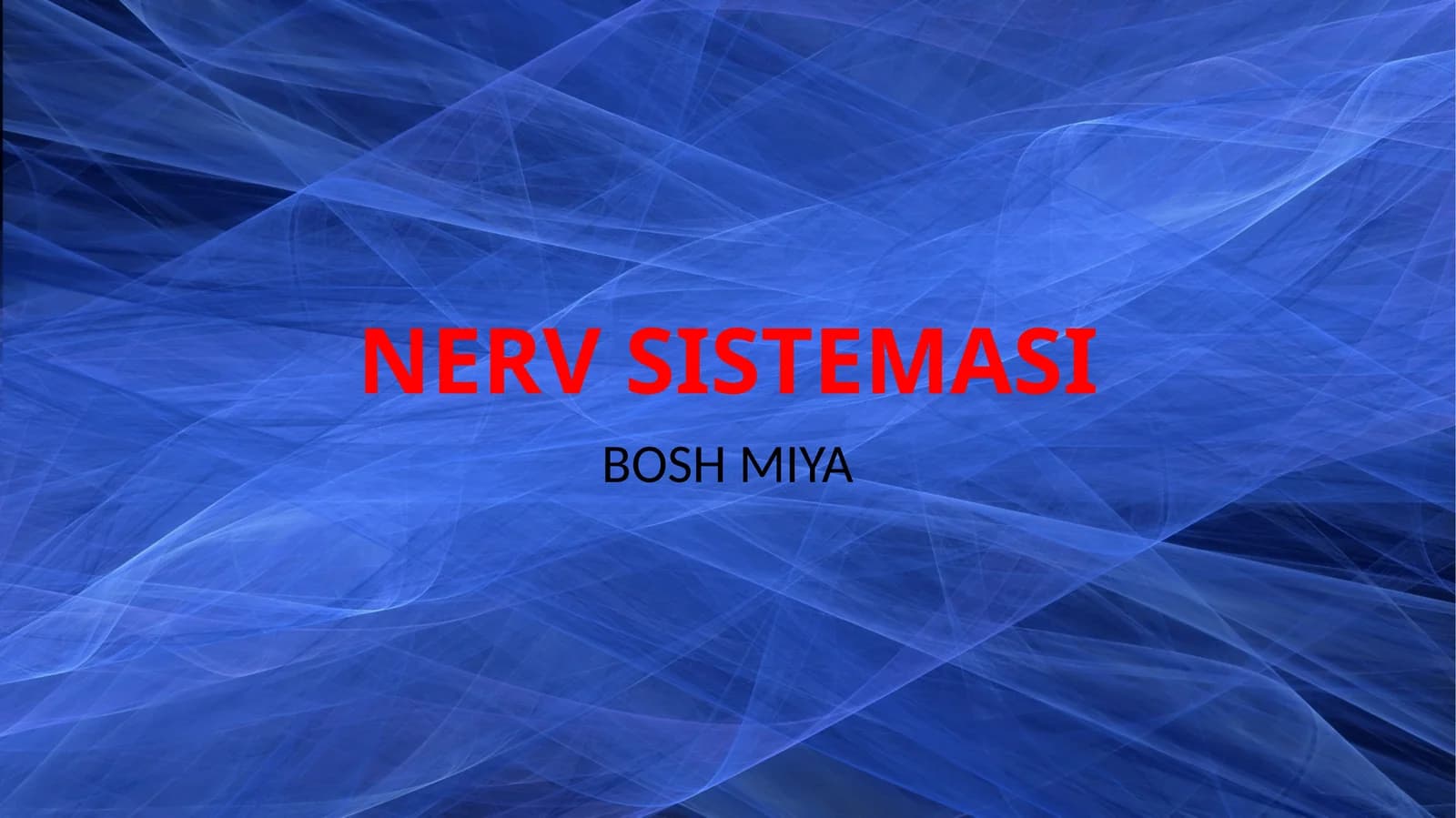 NERV SISTEMASI