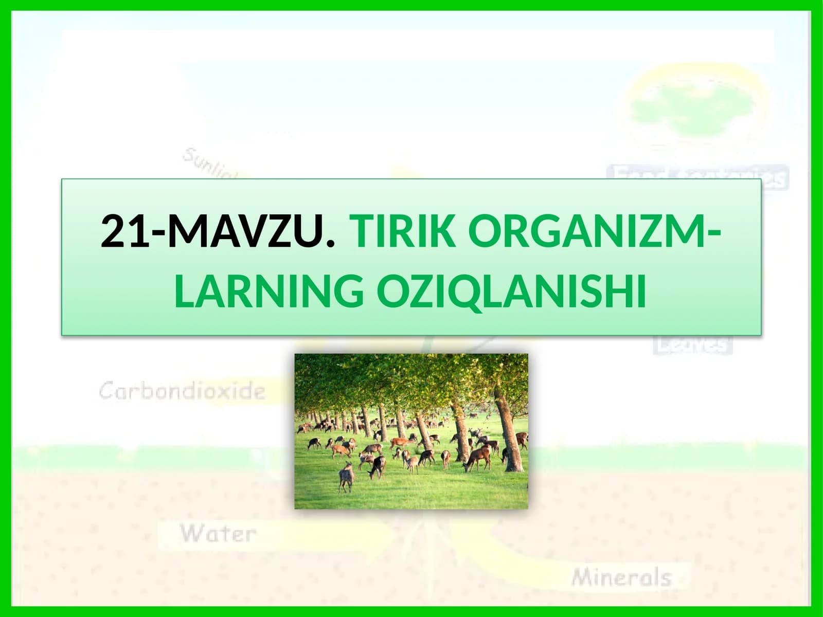 TIRIK ORGANIZM-LARNING OZIQLANISHI
