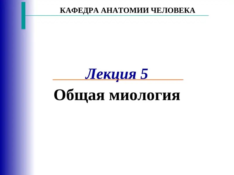 Общая миология