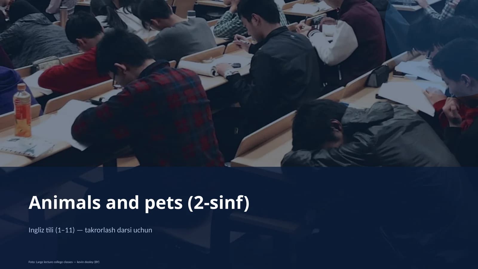 Animals and pets (2-sinf)