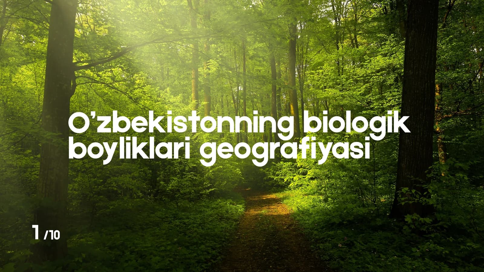 O’zbekistonning biologik boyliklari geografiyasi