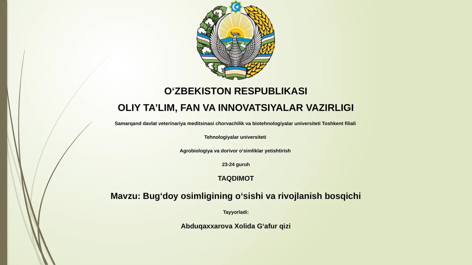 Bugʻdoy osimligining oʻsishi va rivojlanish bosqichi