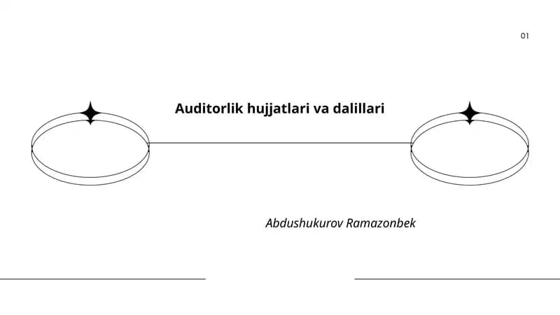 Auditorlik hujjatlari va dalillari