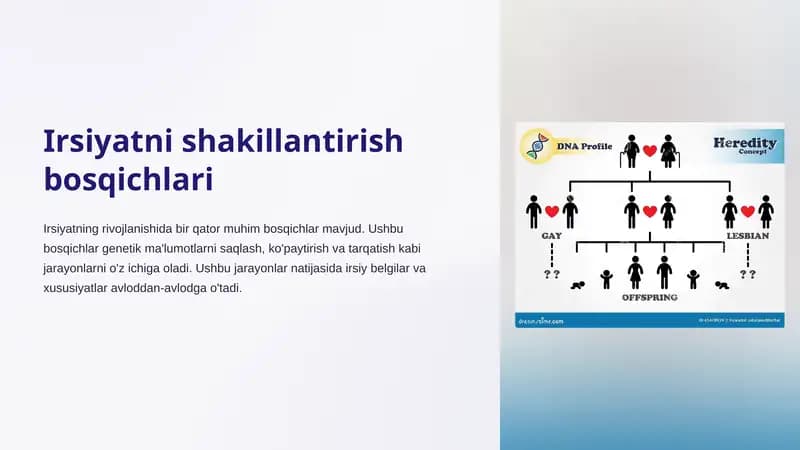 Irsiyatni shakillantirish bosqichlari