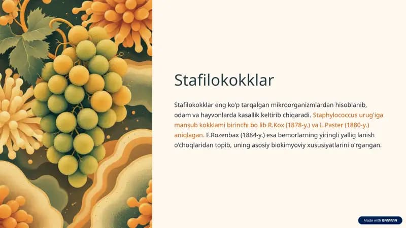 Stafilokokklar