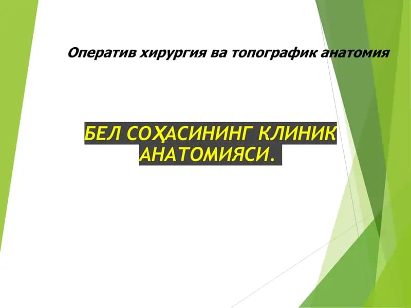БЕЛ СОҲАСИНИНГ КЛИНИК АНАТОМИЯСИ
