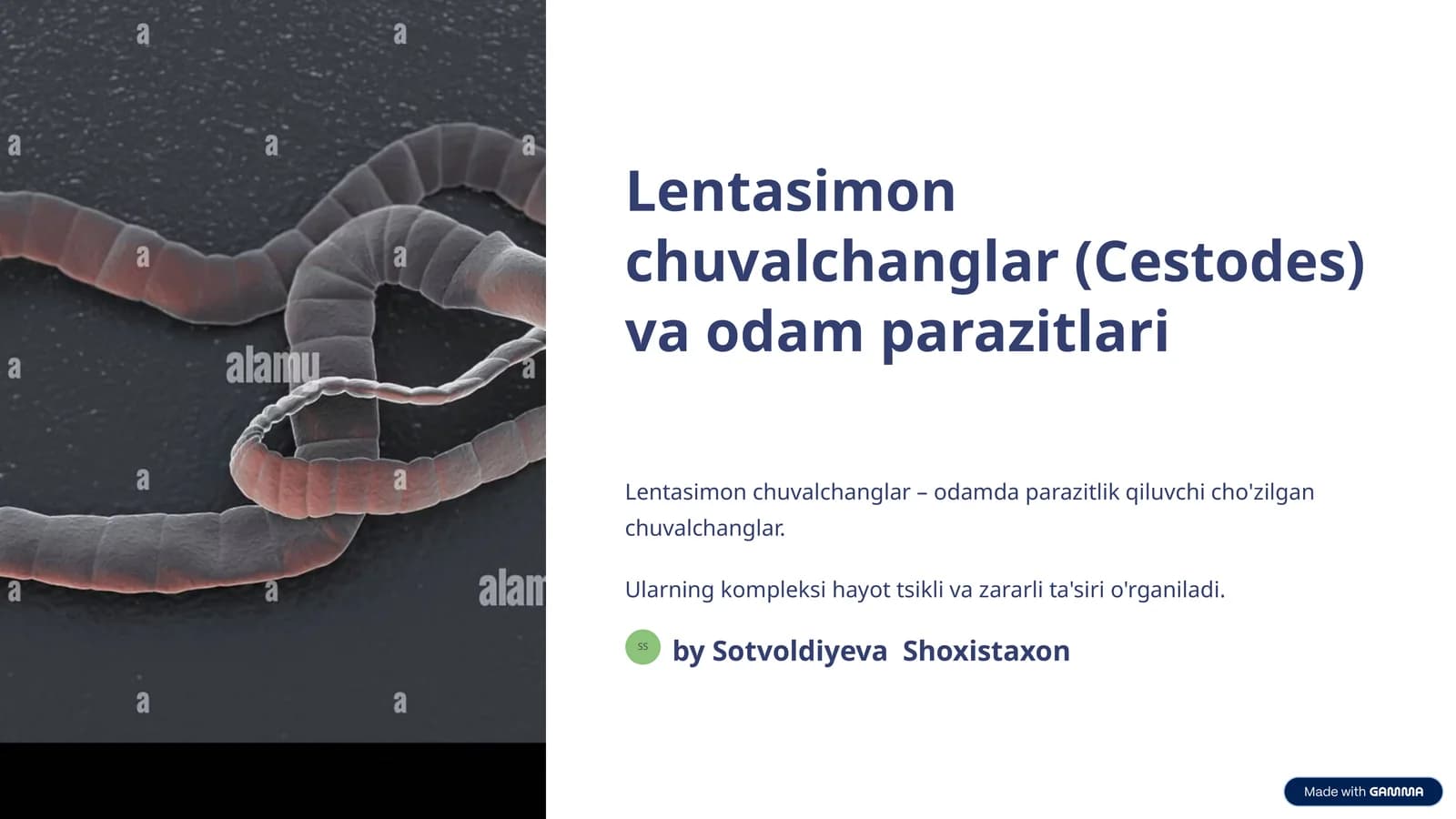 Lentasimon chuvalchanglar (Cestodes) va odam parazitlari