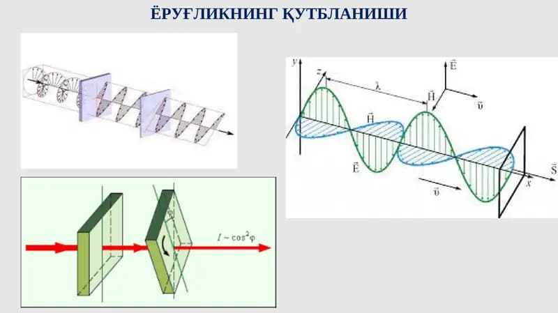 Ёрғликнинг қутбланиши