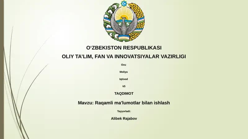 Raqamli ma'lumotlar bilan ishlash