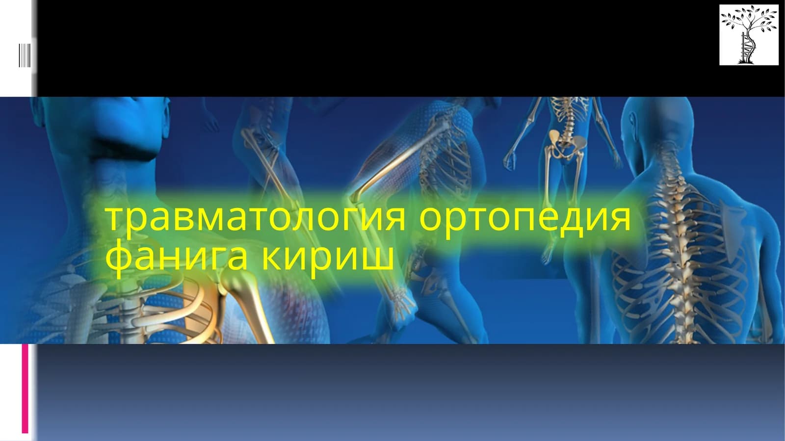 Травматология
