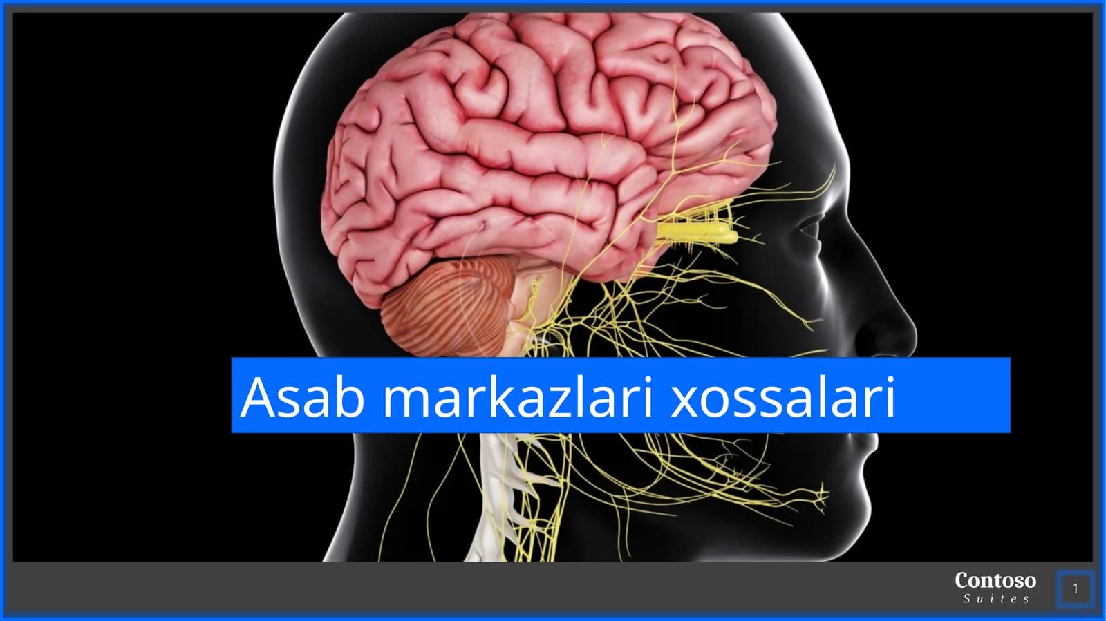 Asab markazlari xossalari