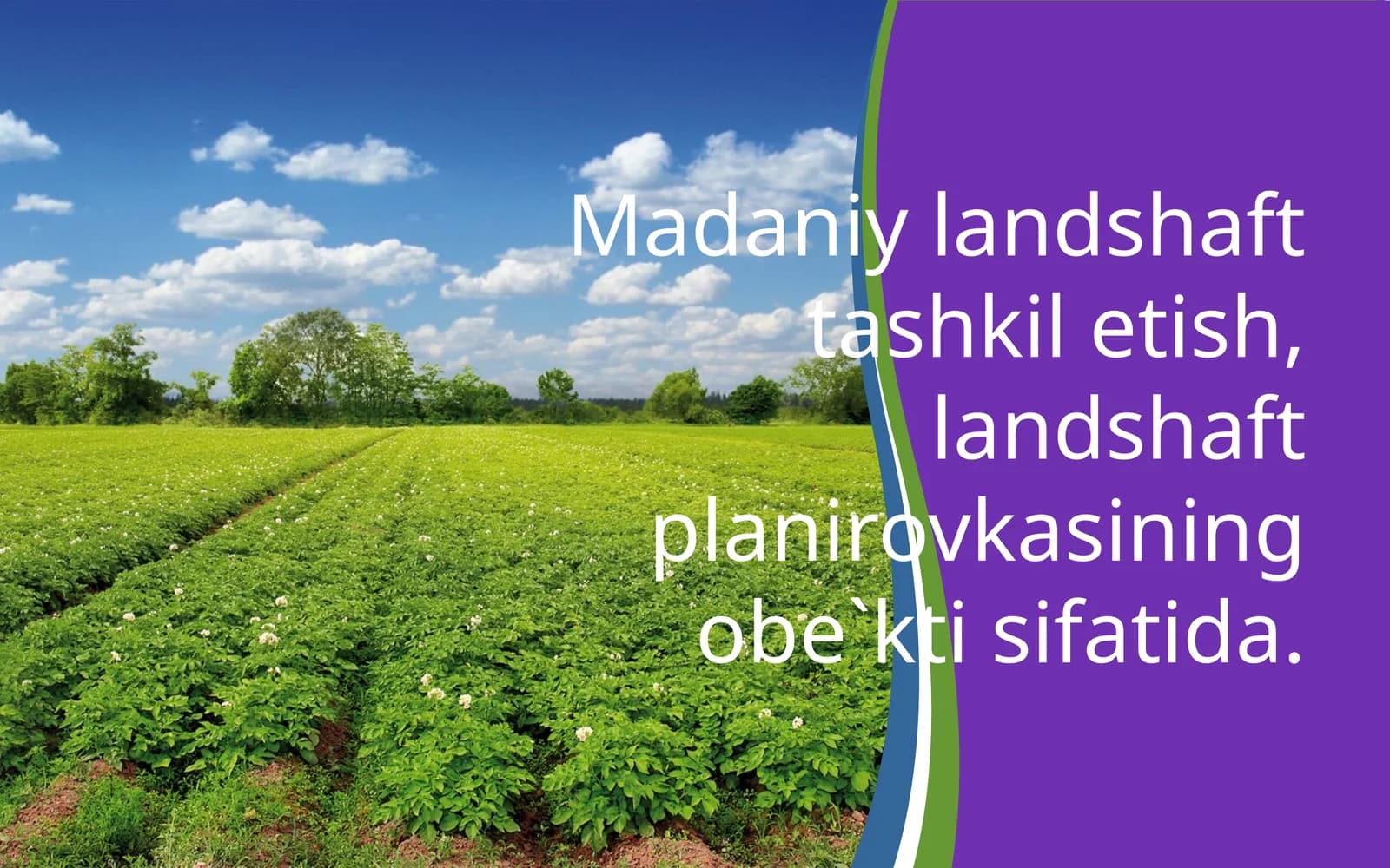 Madaniy landschaft tashkilotish, landshaft planirovka