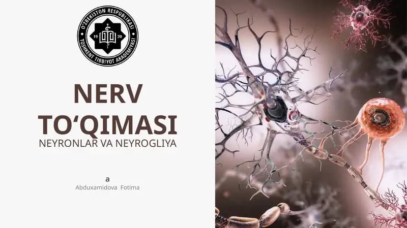 NERV TO‘QIMASI