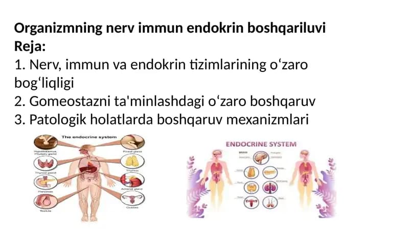 Organizmning nerv immun endokrin boshqariluvi