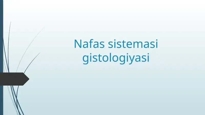 Nafas sistemasi gistologiyasi