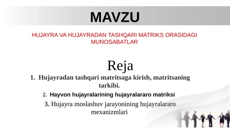 Hujayra va Hujayradan Tashqari Matriks Orasidagi Munosabatlar