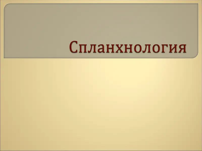 Спланхнология