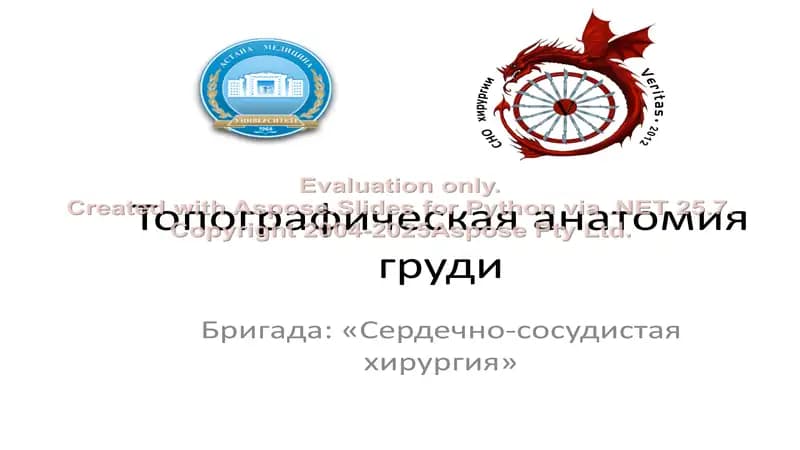 Топографическая анатомия груди