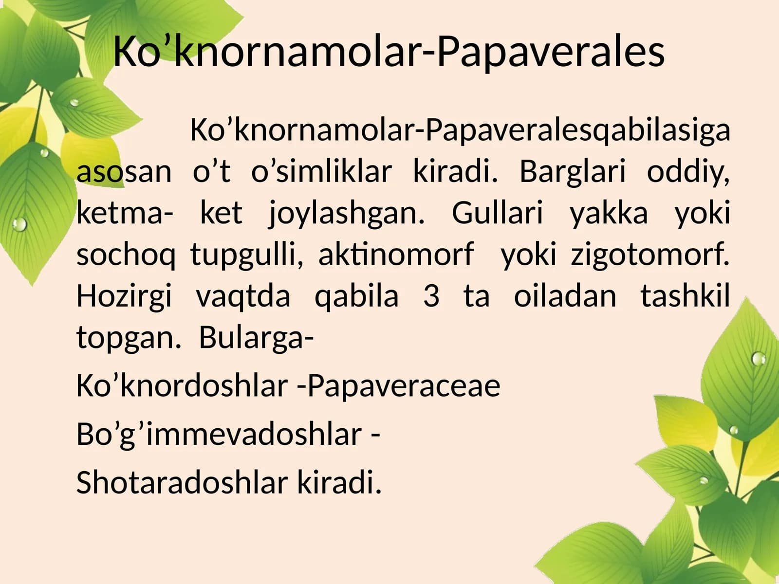 Ko’knornamolar-Papaverales