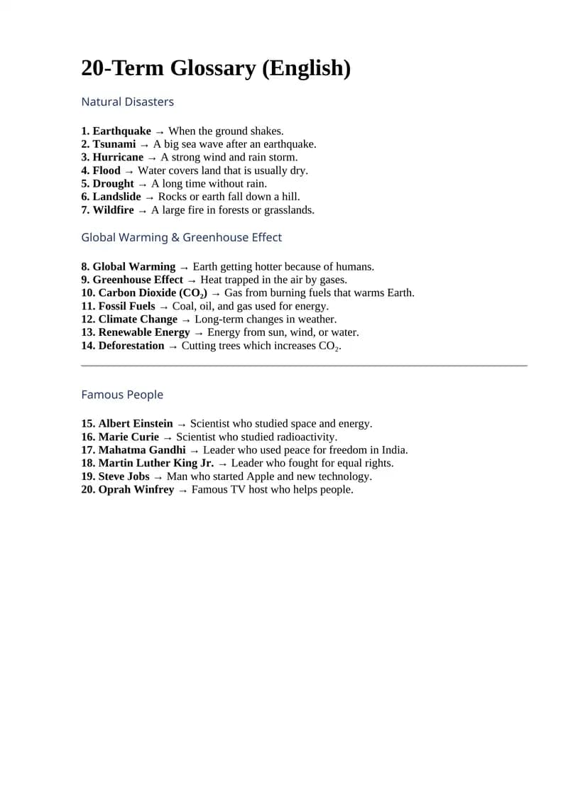 20-Term Glossary (English)